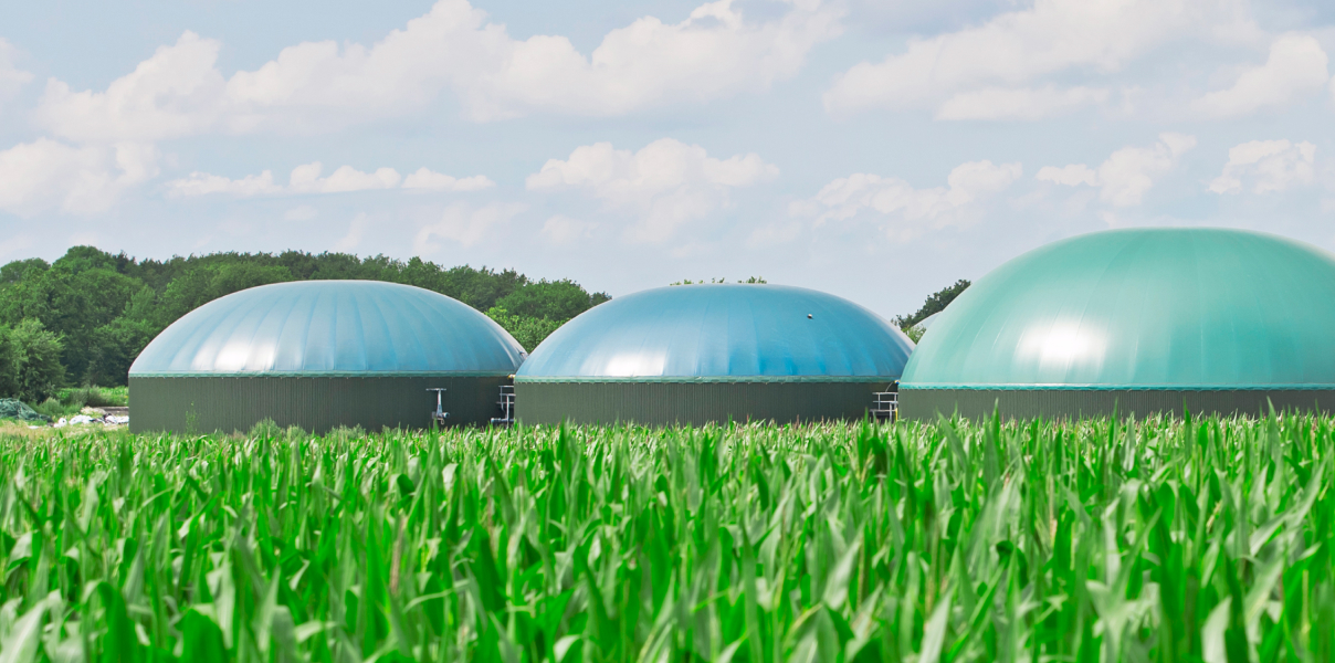 Biogas domes in a field